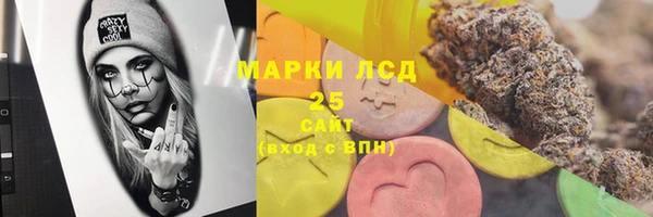ГАЛЛЮЦИНОГЕННЫЕ ГРИБЫ Яранск