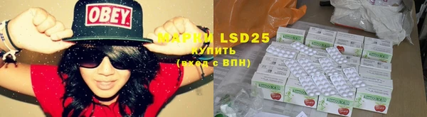 ГАЛЛЮЦИНОГЕННЫЕ ГРИБЫ Яранск